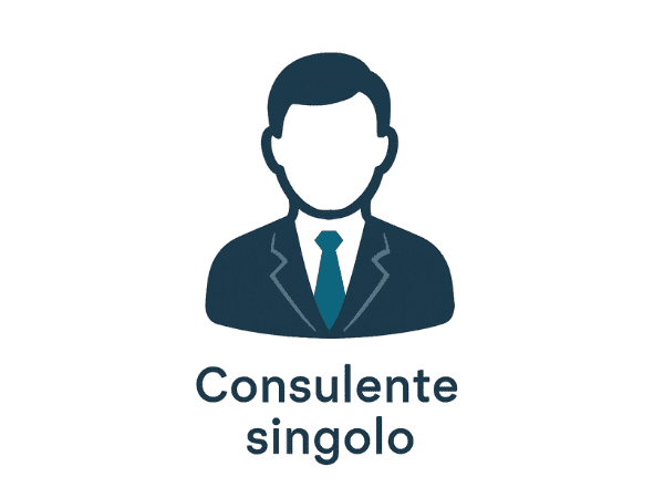 Icona stilizzata di un consulente del lavoro singolo